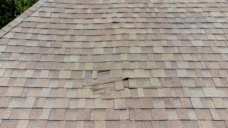 Asphalt Roof Inspection in Centreville, VA