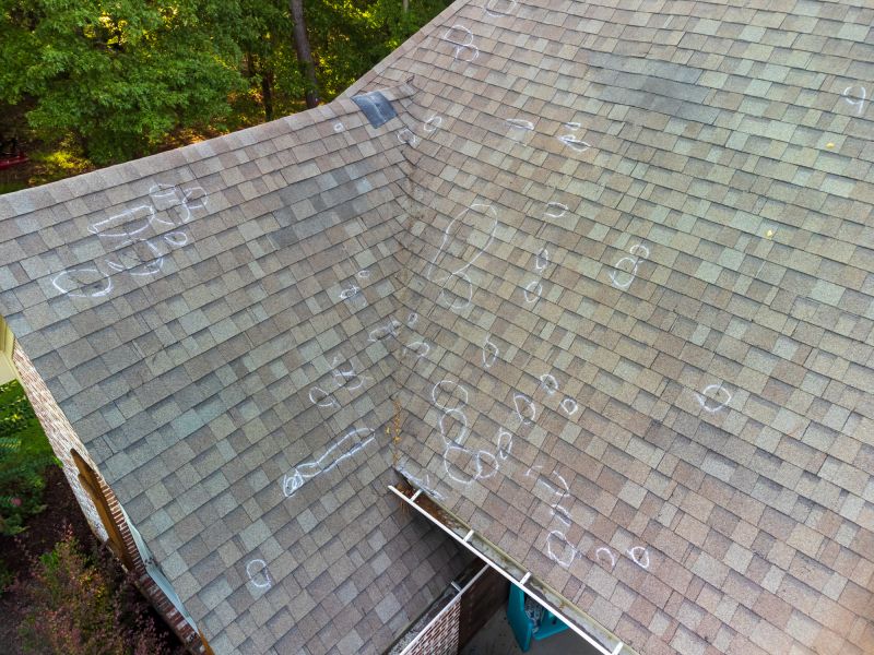 Asphalt Roof Inspection in Reston, VA