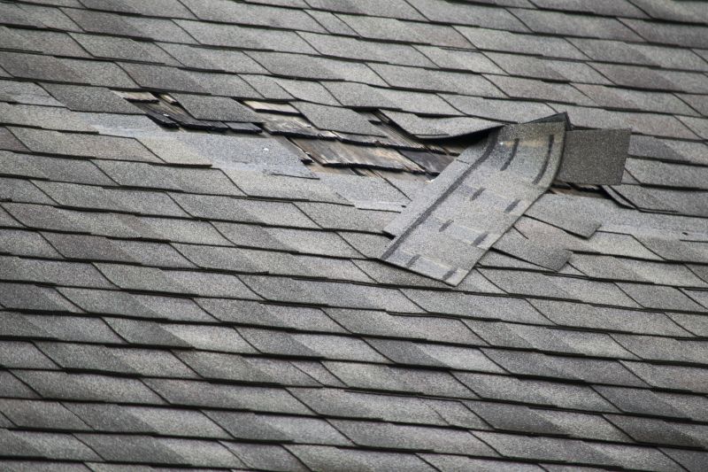 Asphalt Roof Leak Repair in Catlett, VA