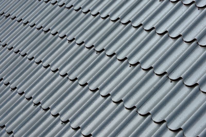 Corrugated Roof Repair in Loudoun County, VA