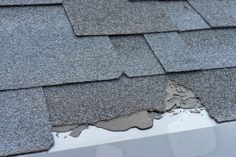 Damaged Roof Repair in Chantilly, VA