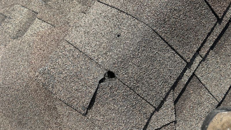 Damaged Roof Repair in Clifton, VA