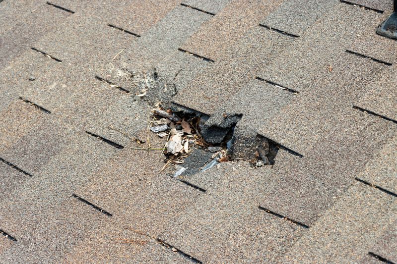 Damaged Roof Replacement in Oakton, VA