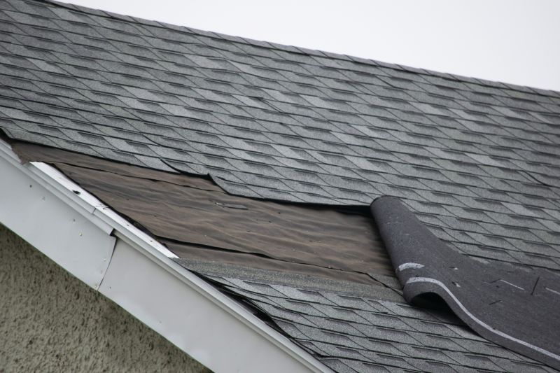 House Roof Repair in Remington, VA