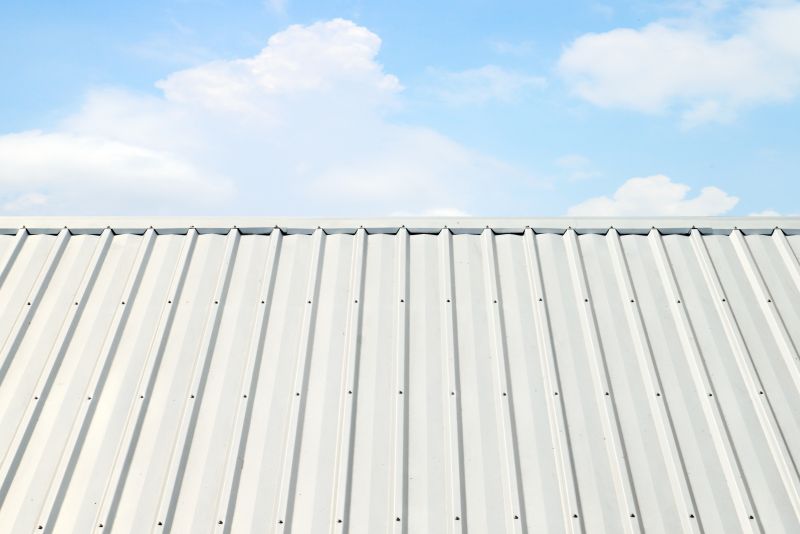 Metal Roof Coating Installation in Haymarket, VA