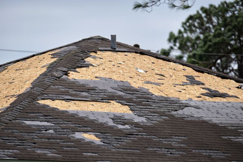 Roof Damage Inspection in Bristow, VA
