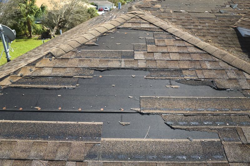 Roof Hail Damage Repair in Haymarket, VA