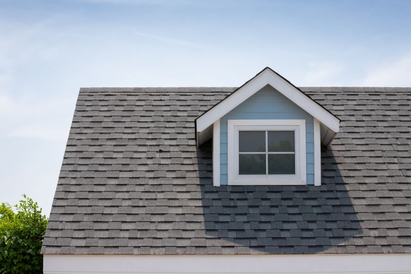 Roof Patching Service in Haymarket, VA