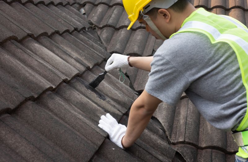 Roof Patching Service in Haymarket, VA