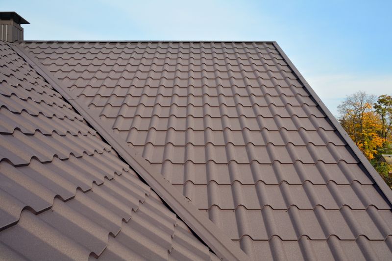 Tin Roof Installation in Remington, VA