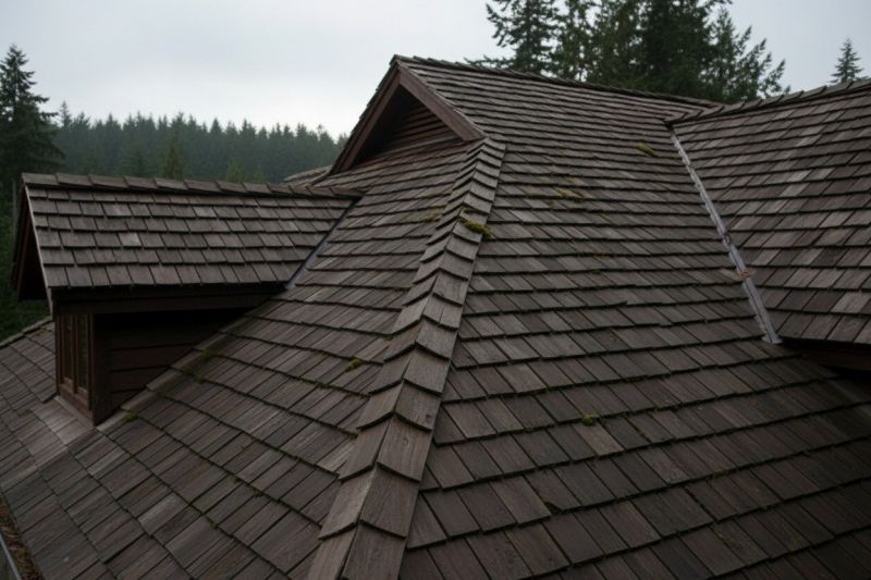 Wood Shake Roof Replacement in Manassas, VA