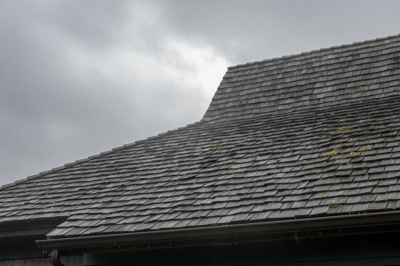 Wood Shake Roof Replacement in Round Hill, VA